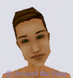 Around the Sims