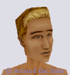 Around the Sims