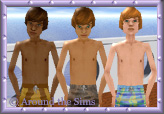 Around the Sims