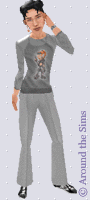 Around the Sims