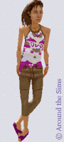 Around the Sims