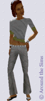 Around the Sims