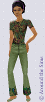 Around the Sims