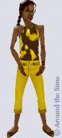 Around the Sims