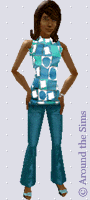 Around the Sims