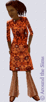 Around the Sims