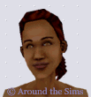 Around the Sims