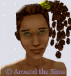 Around the Sims