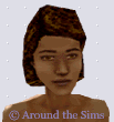 Around the Sims