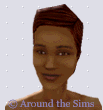 Around the Sims