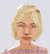 Around the Sims
