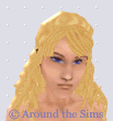 Around the Sims