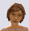 Around the Sims