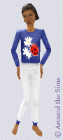 Around the Sims