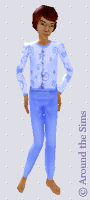Around the Sims
