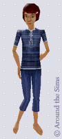 Around the Sims