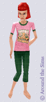 Around the Sims