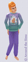 Around the Sims