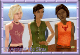 Around the Sims