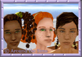 Around the Sims