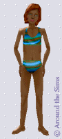 Around the Sims