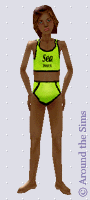 Around the Sims