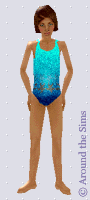 Around the Sims