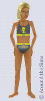 Around the Sims