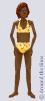 Around the Sims