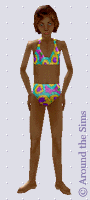Around the Sims