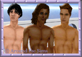 Around the Sims