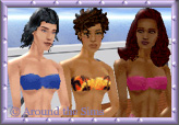 Around the Sims