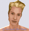 Around the Sims