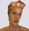 Around the Sims