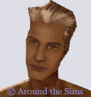 Around the Sims