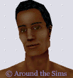 Around the Sims
