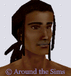 Around the Sims