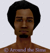 Around the Sims