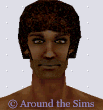 Around the Sims