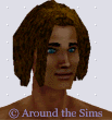 Around the Sims