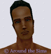 Around the Sims