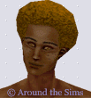 Around the Sims
