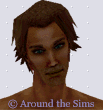 Around the Sims