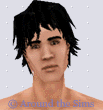 Around the Sims