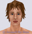 Around the Sims