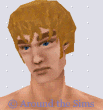 Around the Sims