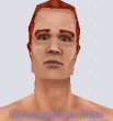 Around the Sims