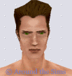 Around the Sims