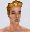 Around the Sims