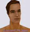 Around the Sims